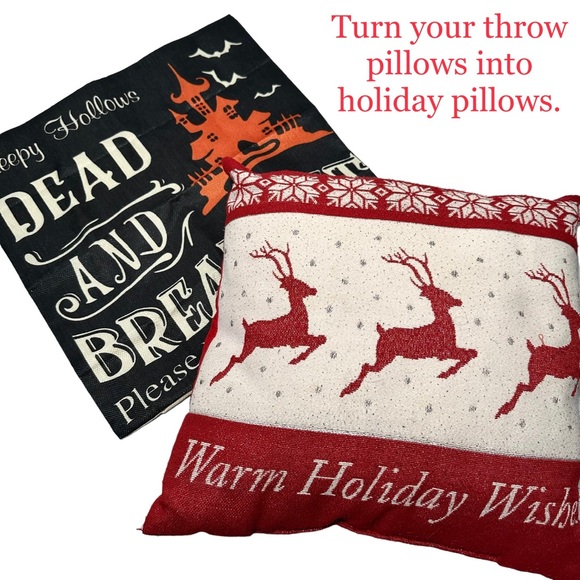 E Pillow Cover 18” Bunny Rabbit Succulents Feathers - Picture 5 of 5